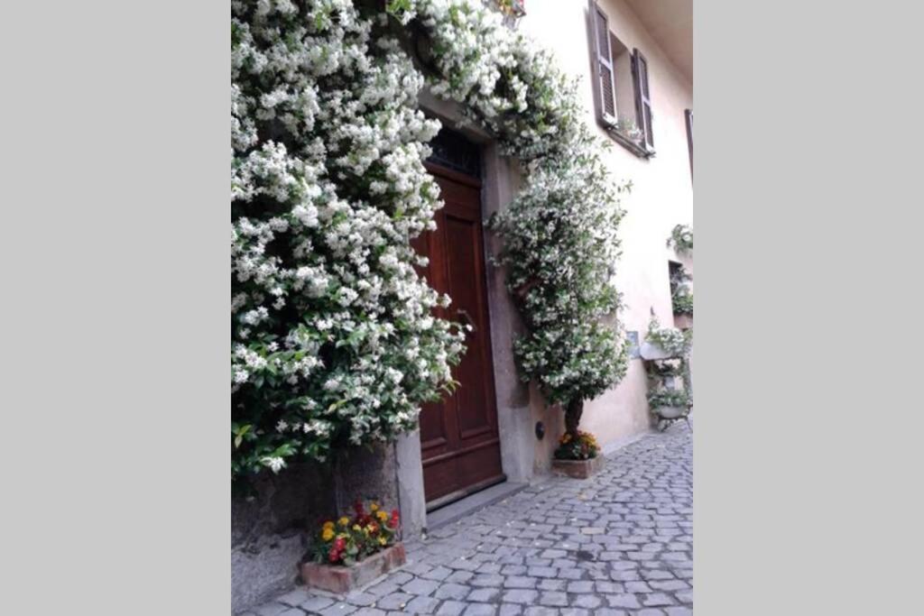 Il Gelsomino Di Isia Villa Orvieto Eksteriør billede