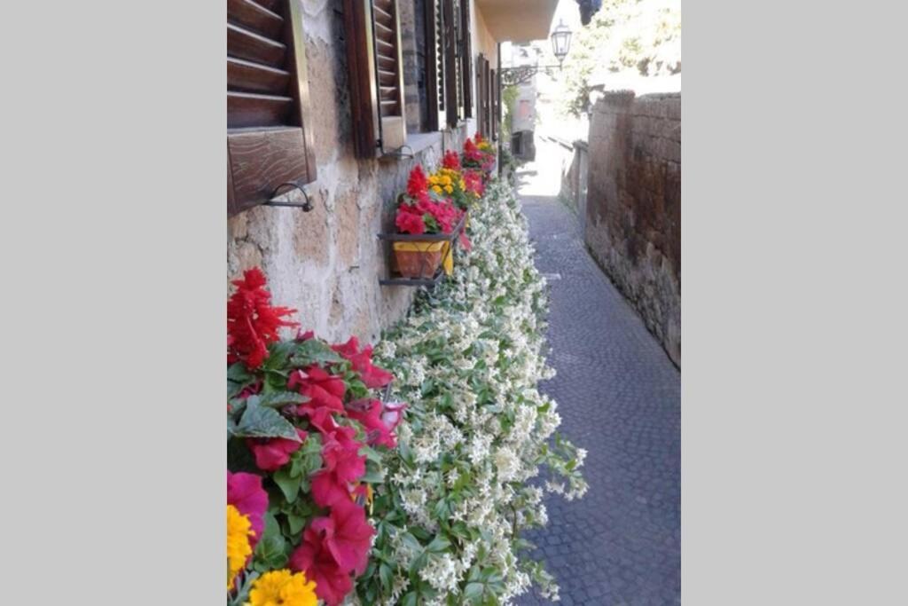 Il Gelsomino Di Isia Villa Orvieto Eksteriør billede