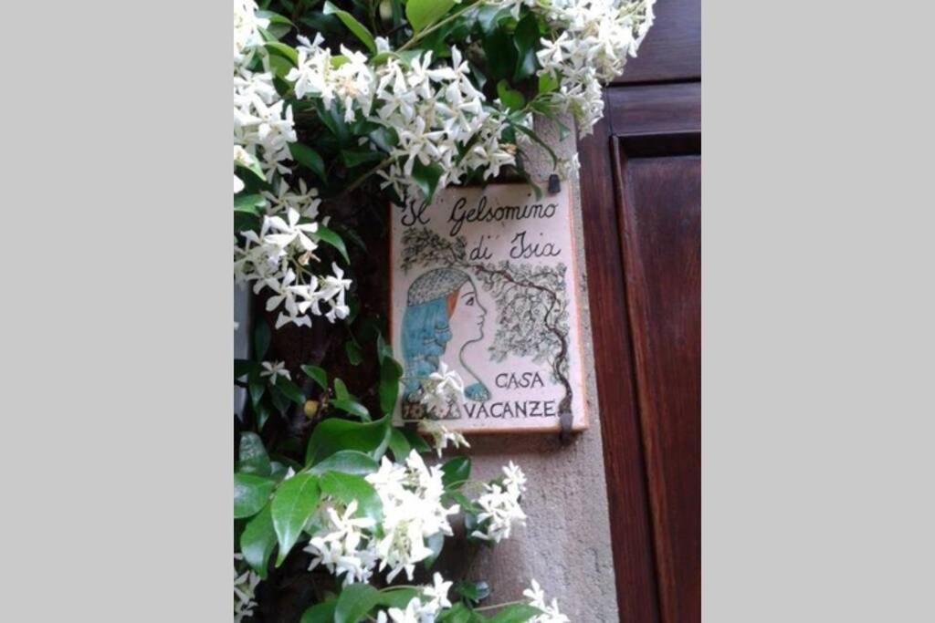 Il Gelsomino Di Isia Villa Orvieto Eksteriør billede